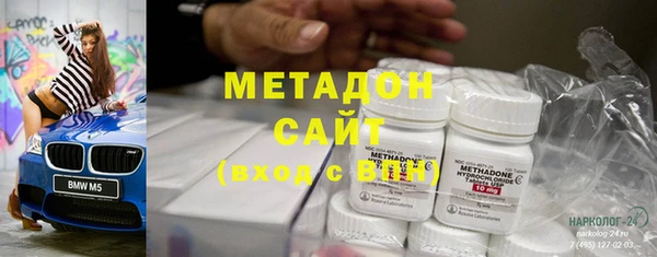 индика Арсеньев