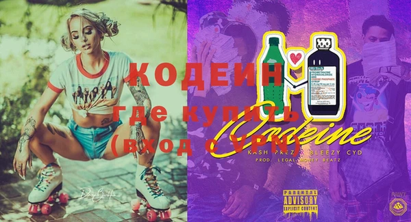 индика Арсеньев