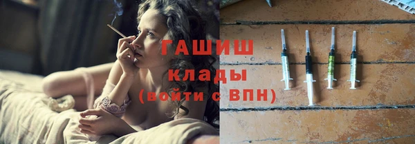 индика Арсеньев