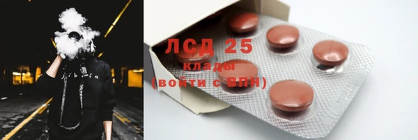 индика Арсеньев