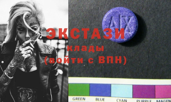 индика Арсеньев
