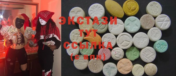 индика Арсеньев